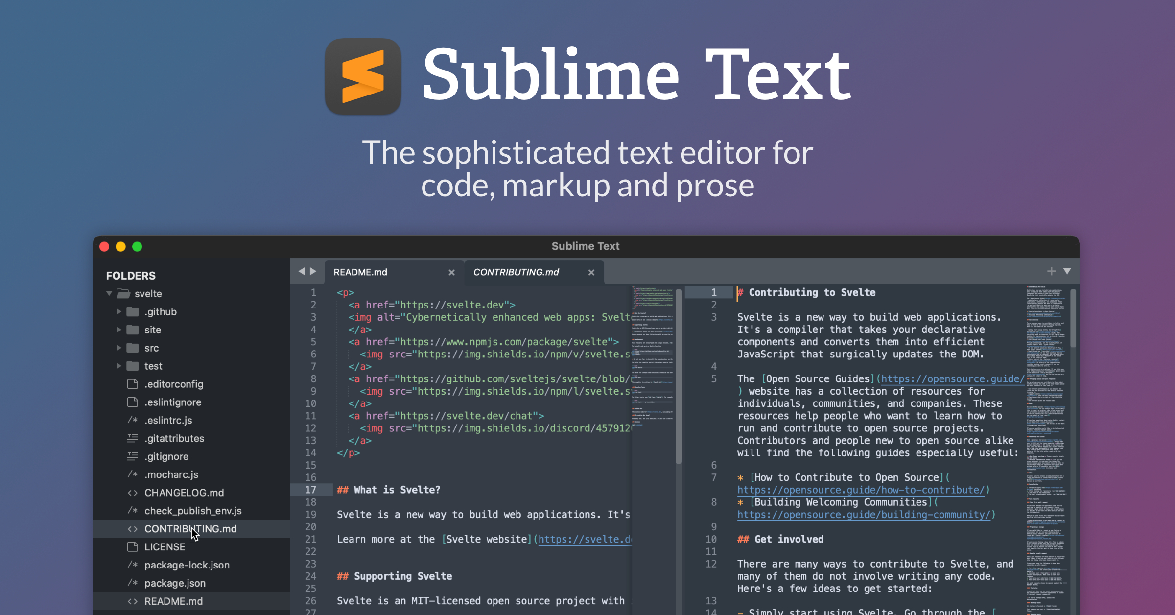 cool text editor for mac